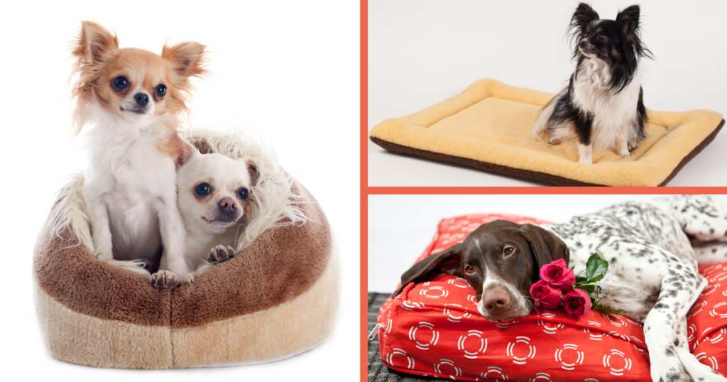 Tipos de camas para mascotas