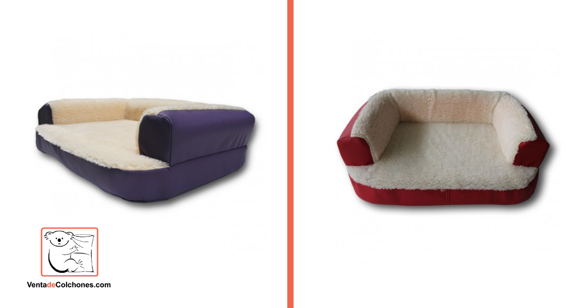 Tipos de camas para perros